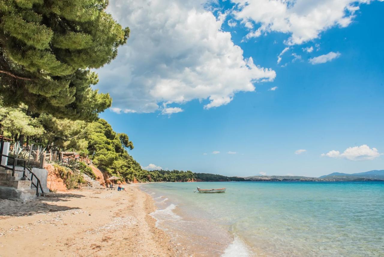 Citro By The Sea Otel Metamorfosi  Dış mekan fotoğraf